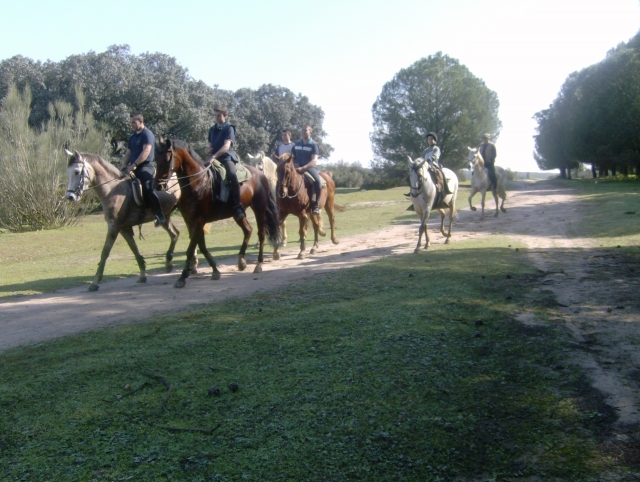 Rutas por bellos parajes